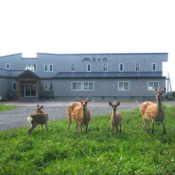 hotel3