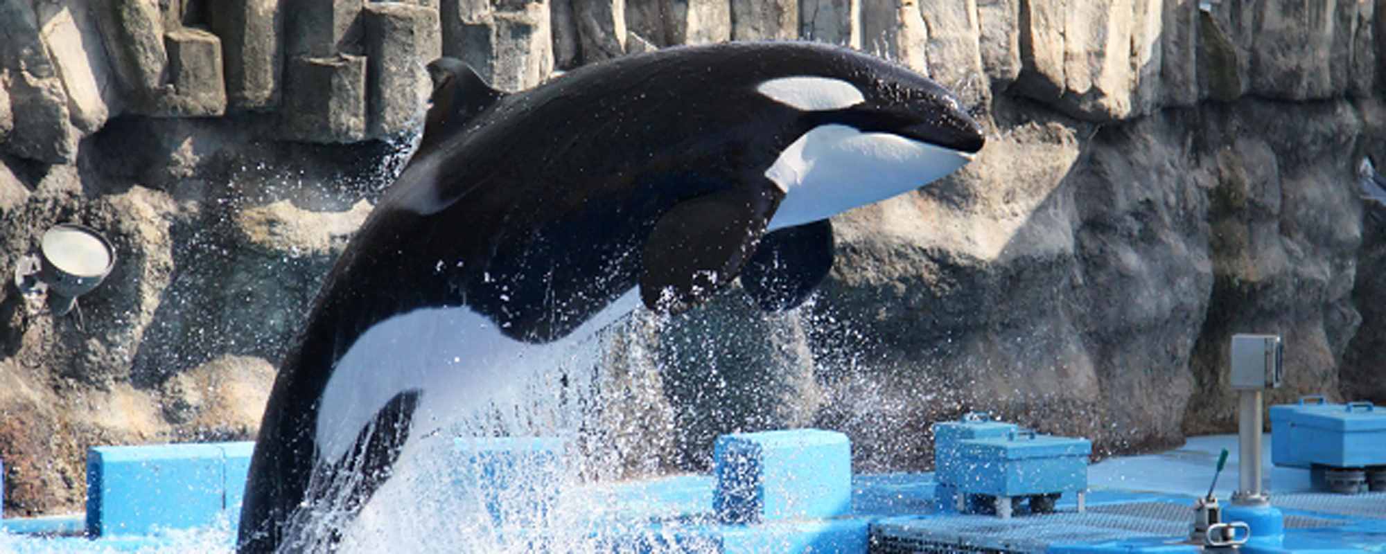 名古屋港水族館