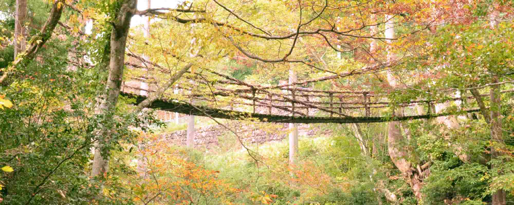 足羽川渓谷・かずら橋