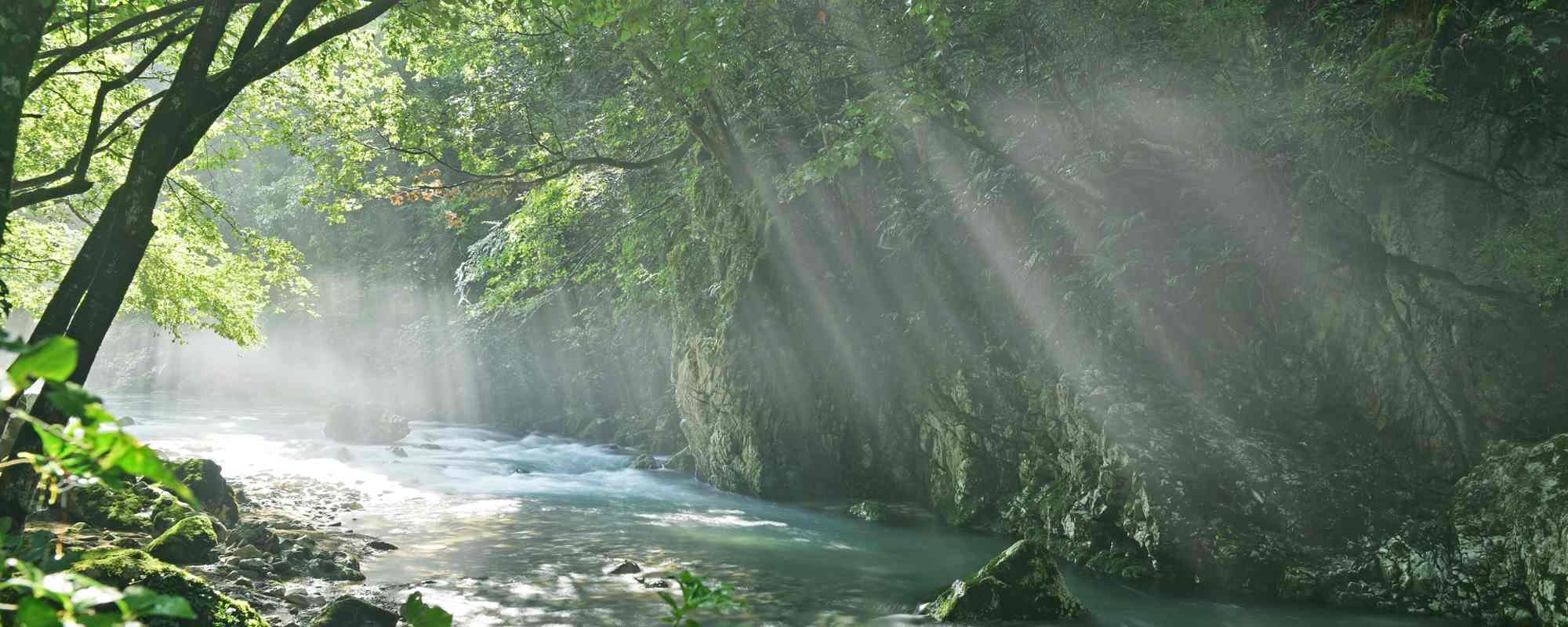 円原川の伏流水