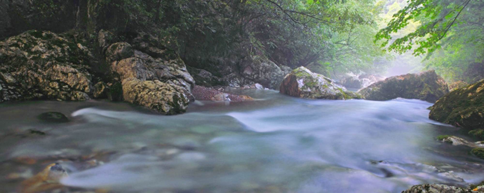 円原川の伏流水