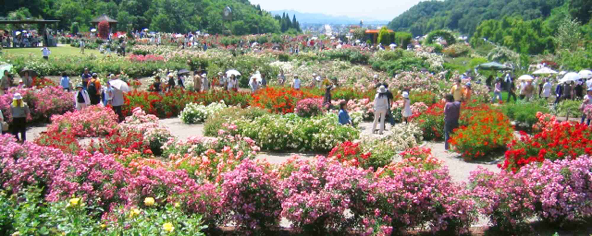 花フェスタ記念公園