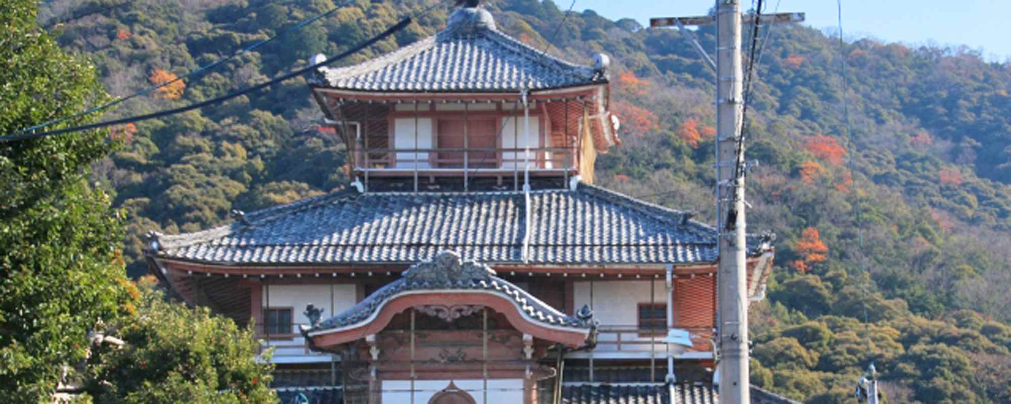 金鳳山 正法寺・岐阜大仏