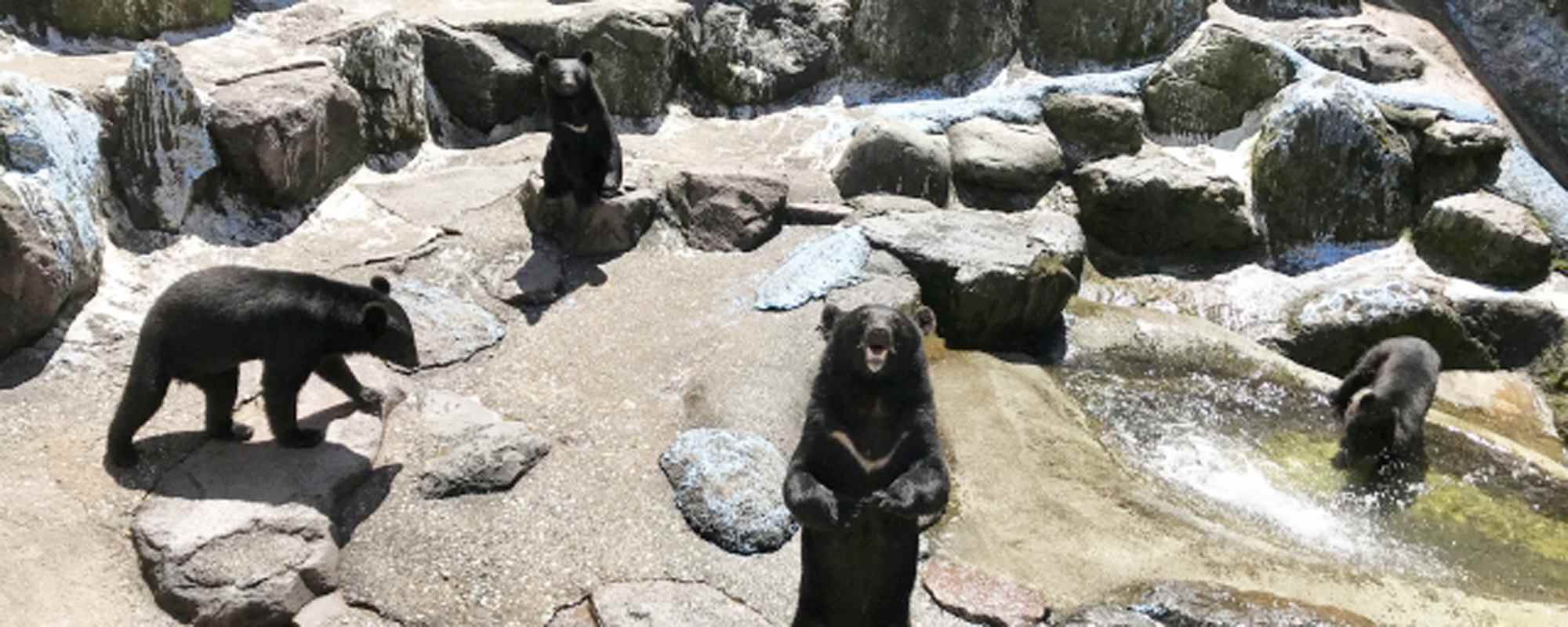 奥飛騨クマ牧場