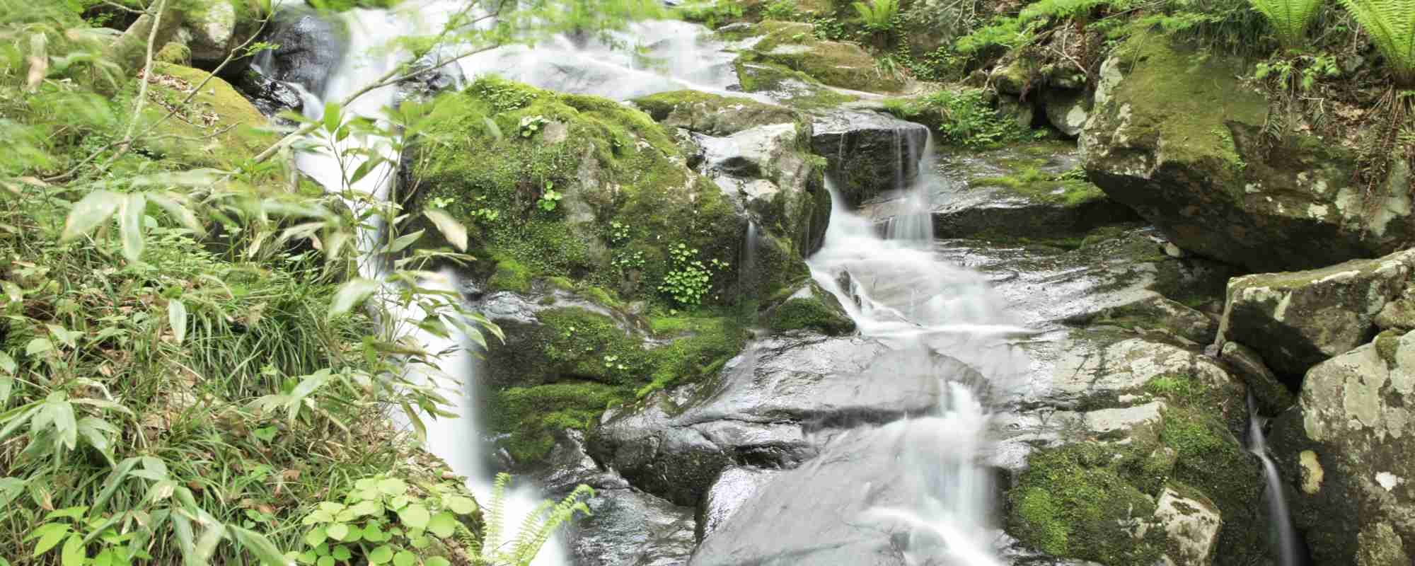 宇津江四十八滝