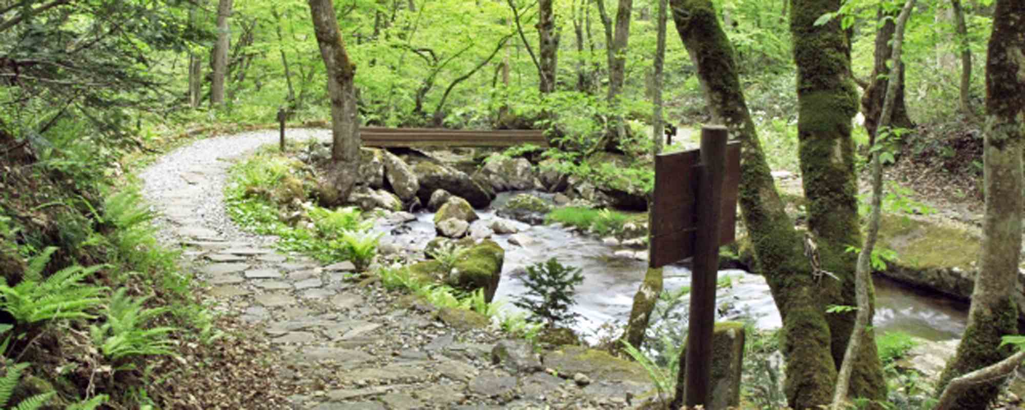 宇津江四十八滝