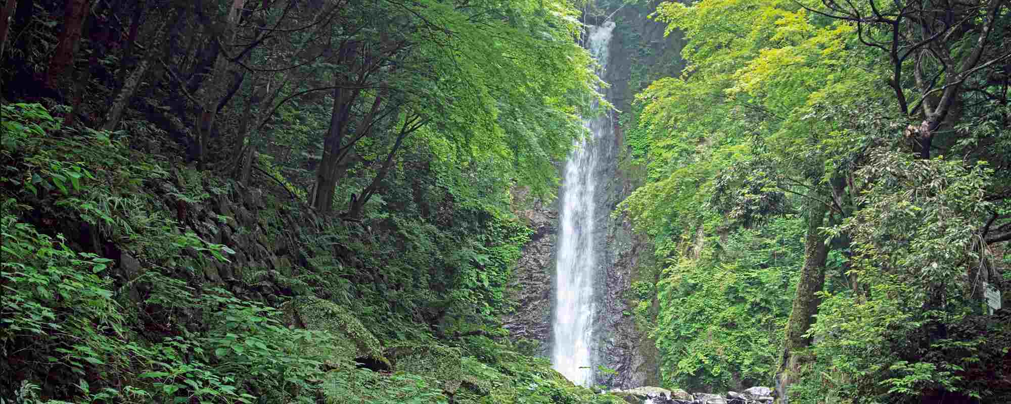 養老の滝