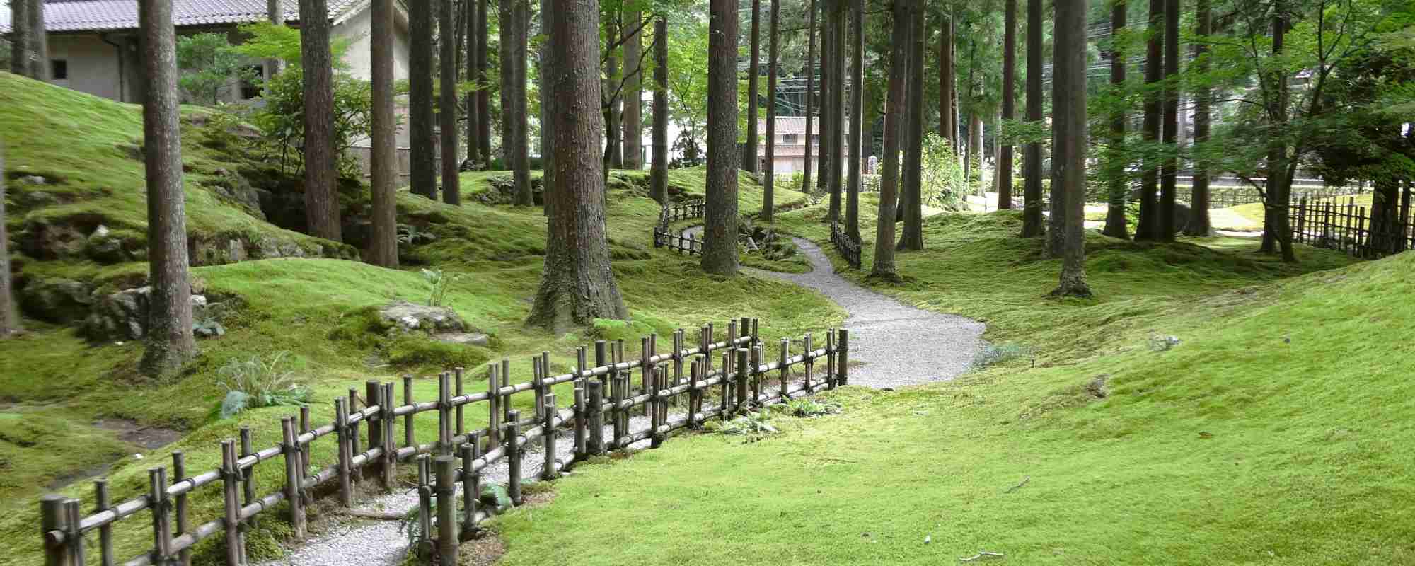 叡智の杜・苔の里