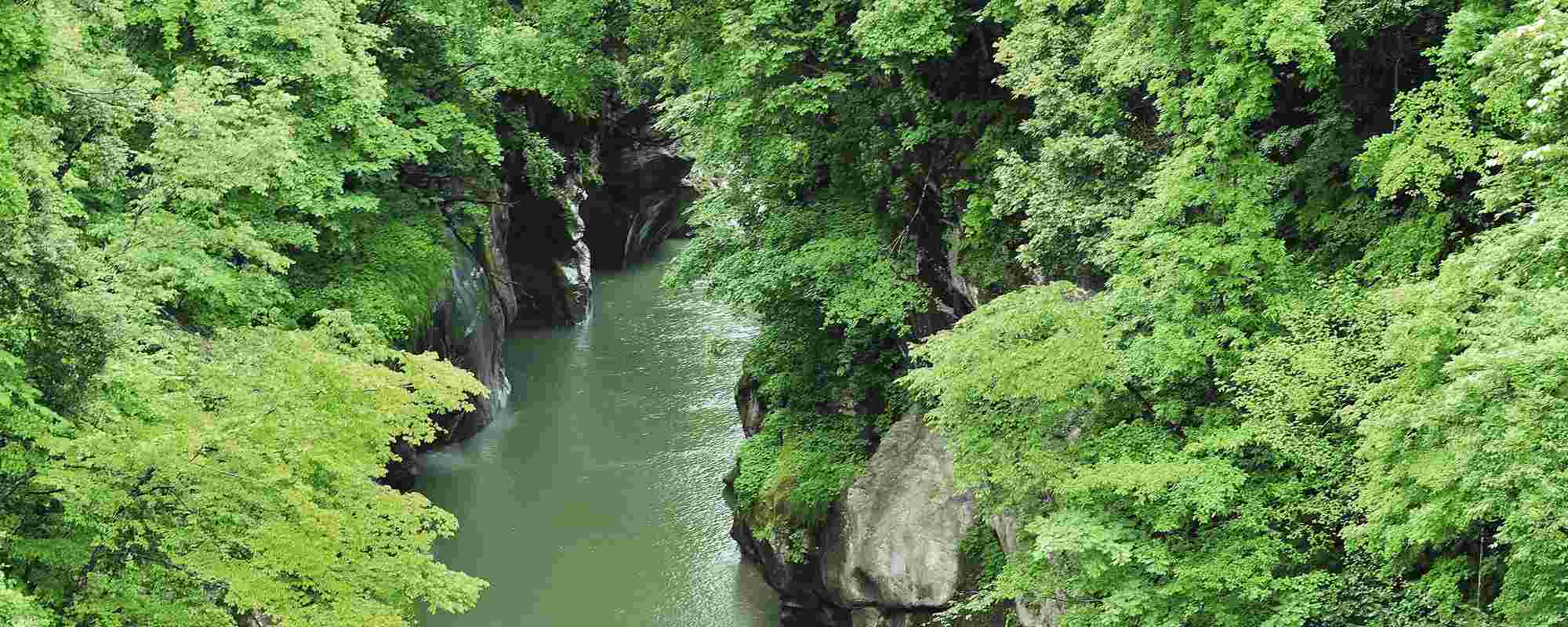 手取峡谷・綿ヶ滝