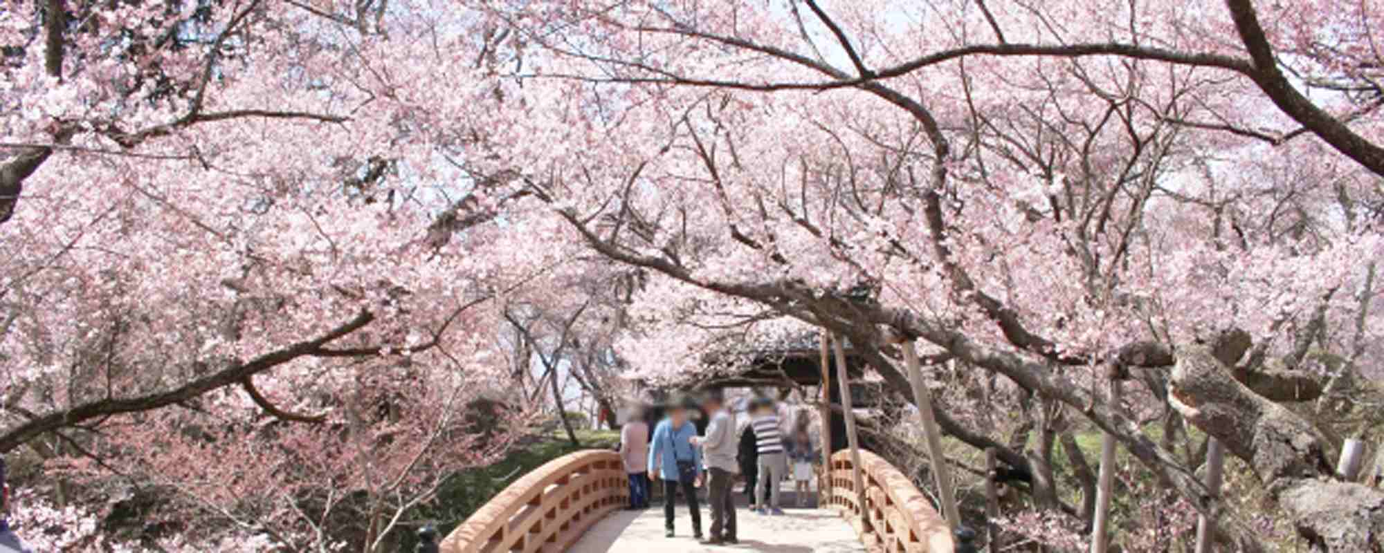 高遠城址公園