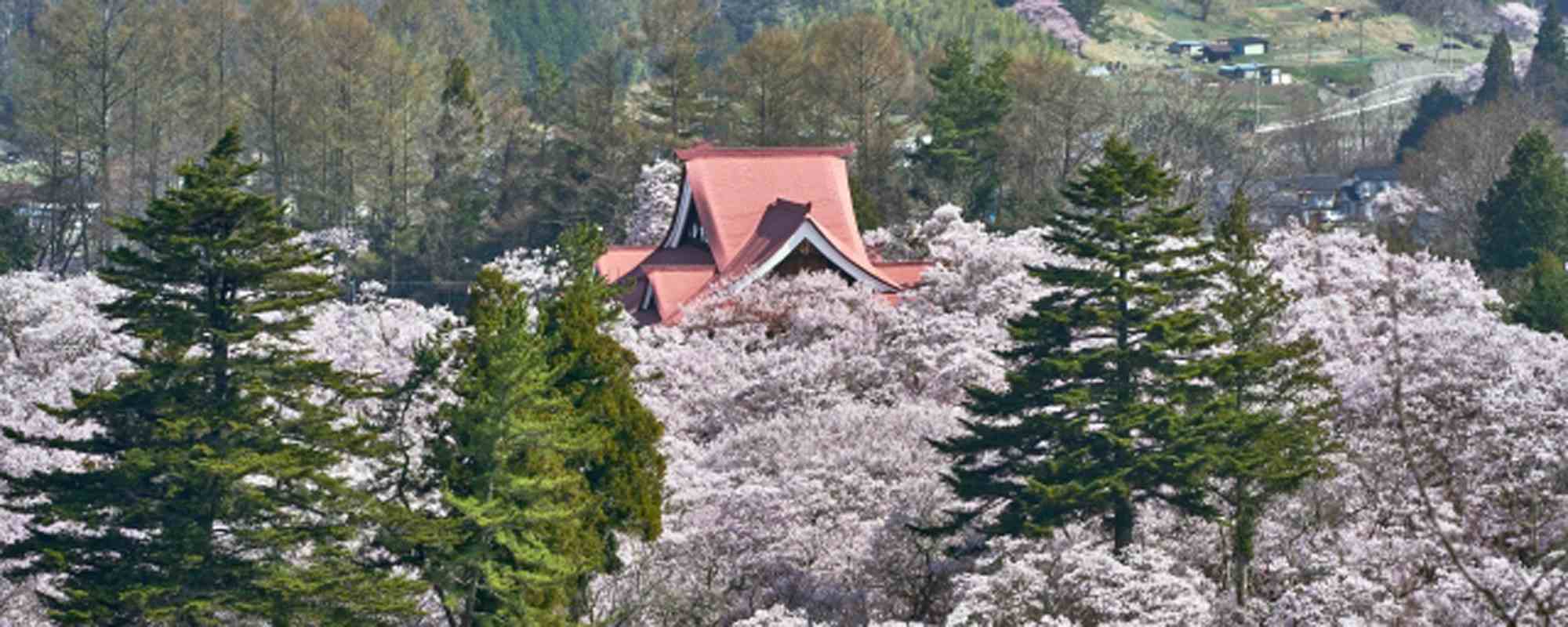 高遠城址公園