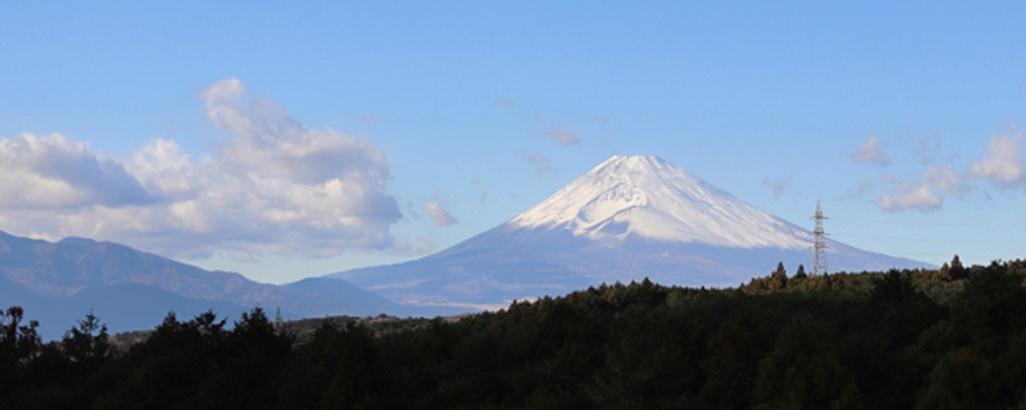 三島スカイウォーク