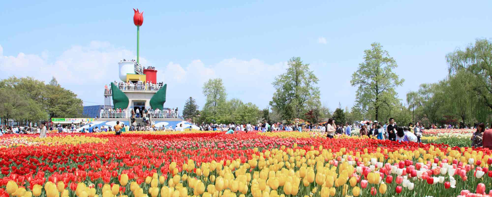 砺波チューリップ公園