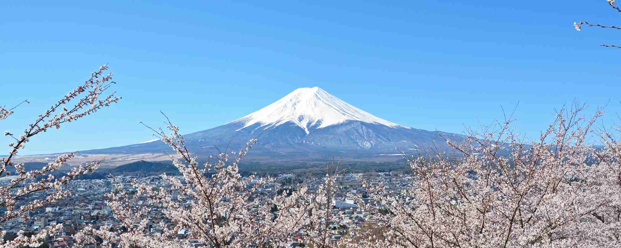 富士山