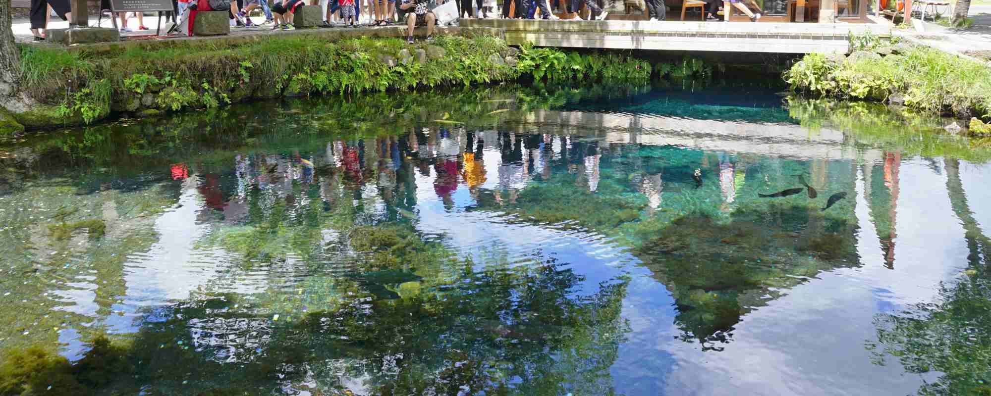 忍野八海