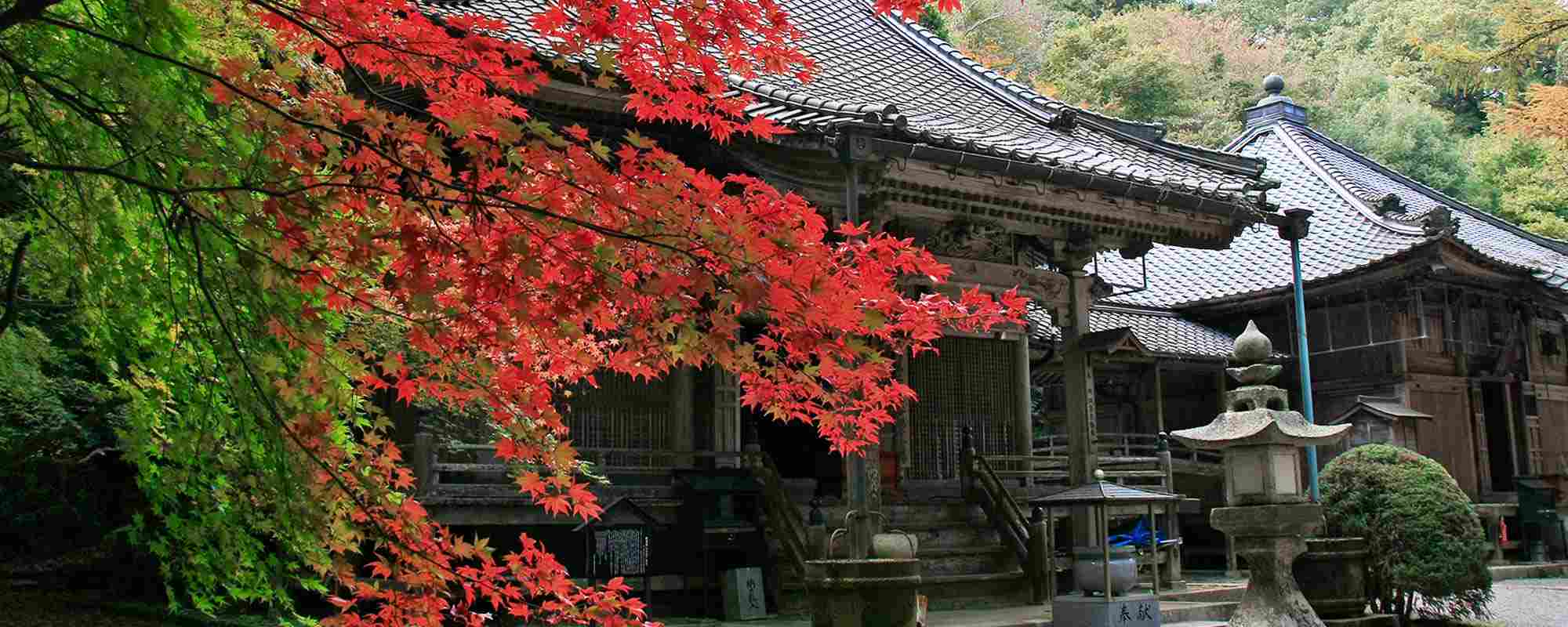 今高野山 龍華寺