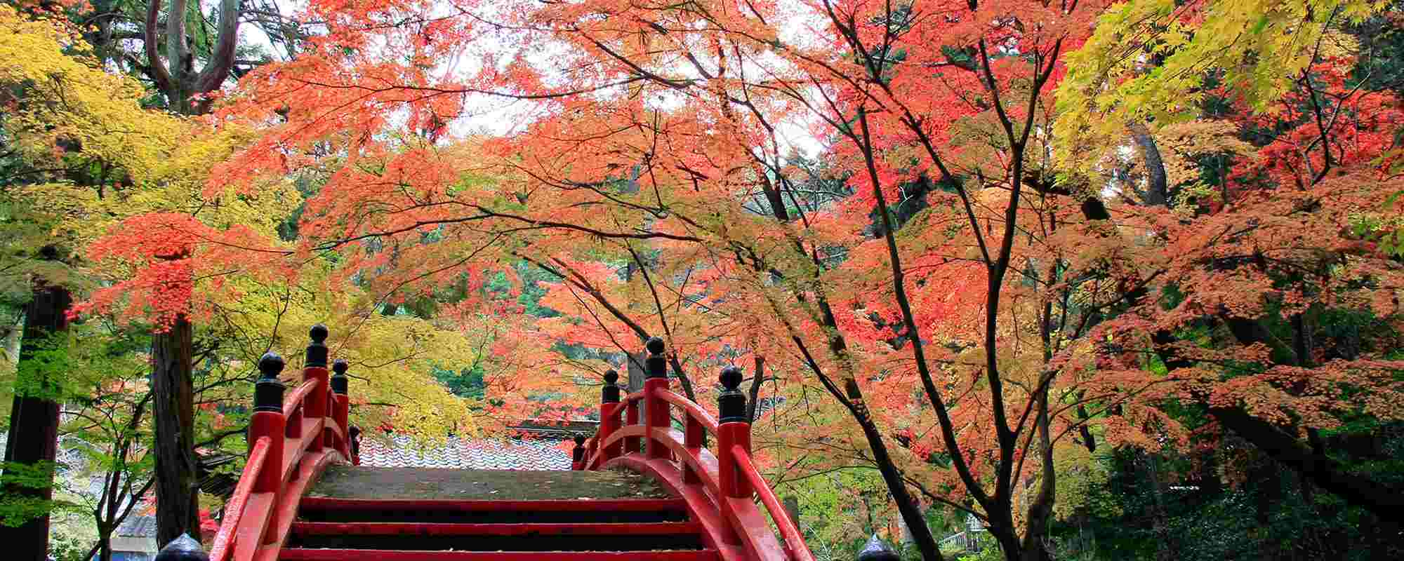 今高野山 龍華寺