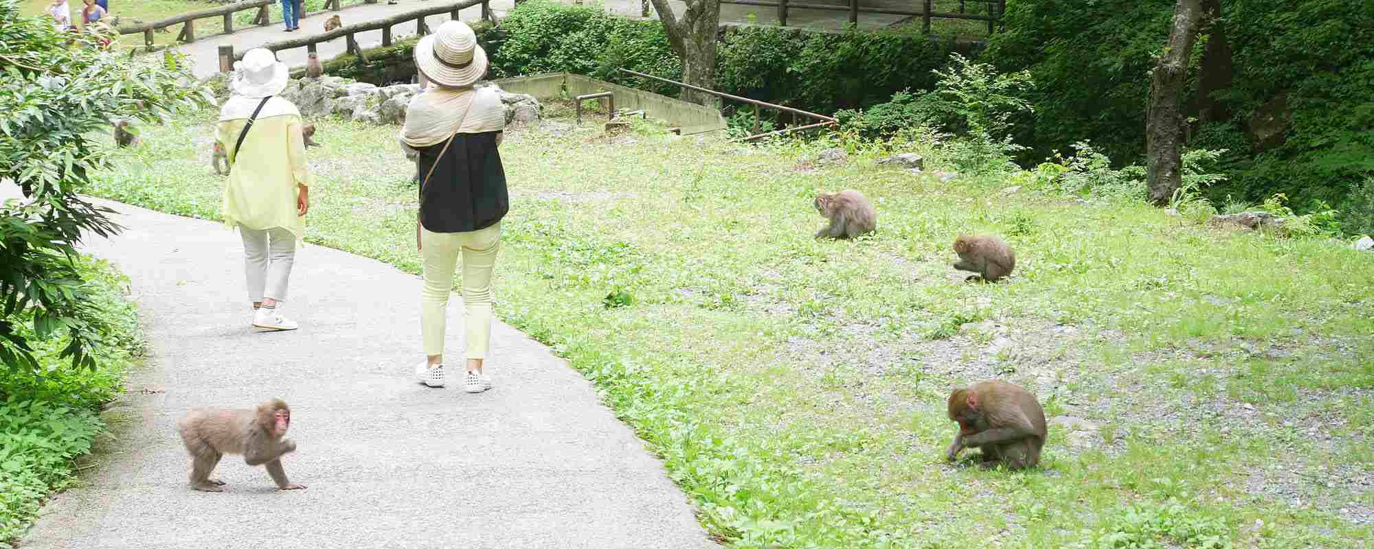 神庭の滝