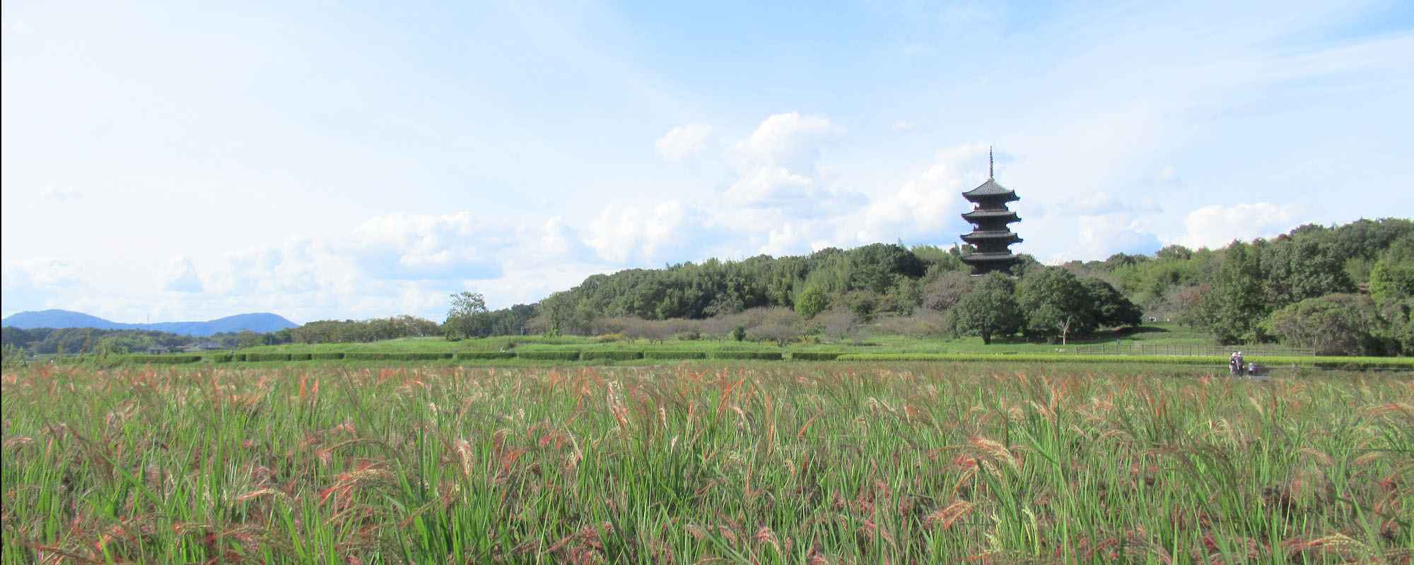 日照山 備中国分寺