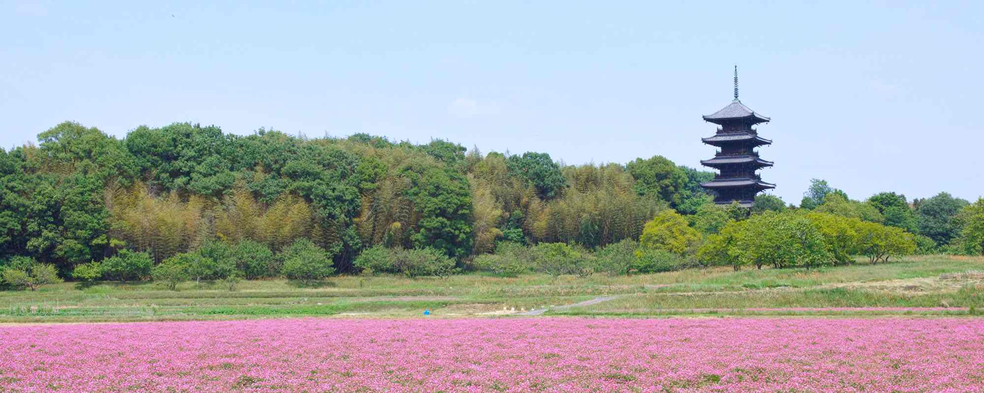 日照山 備中国分寺