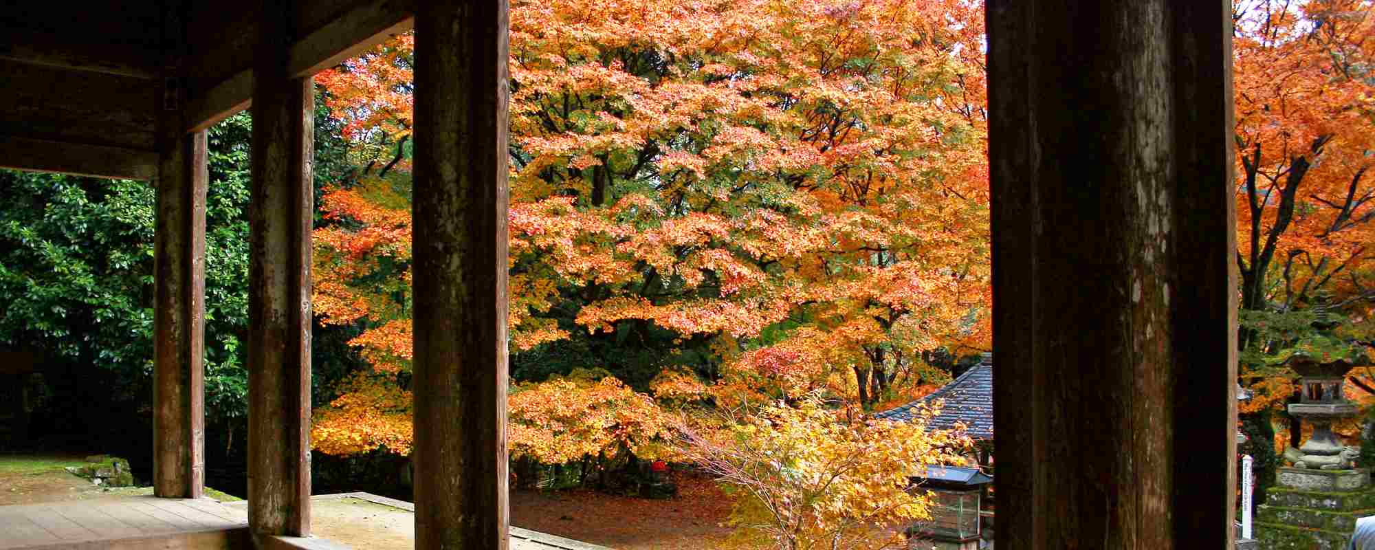 浮浪山 鰐淵寺