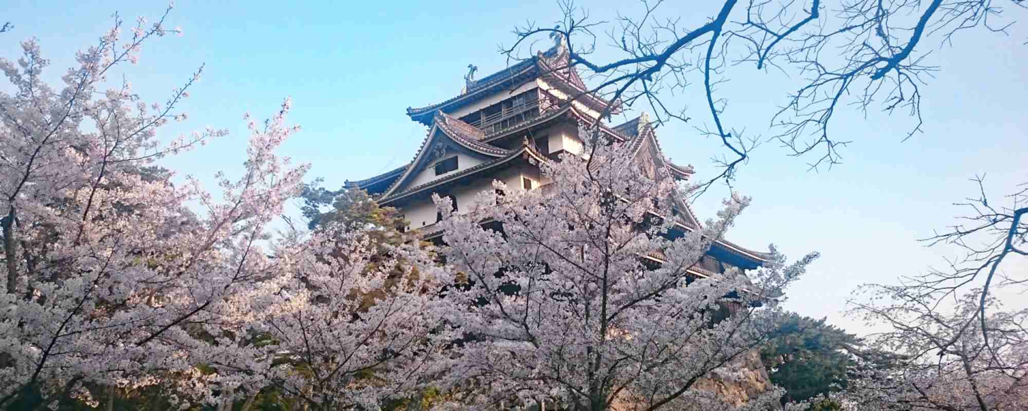 松江城山公園