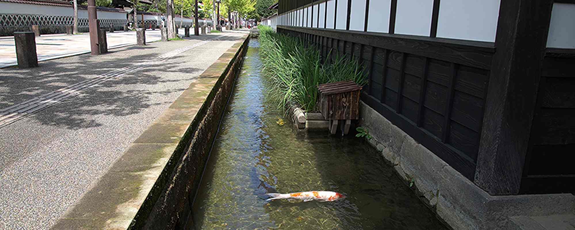 津和野の町並み