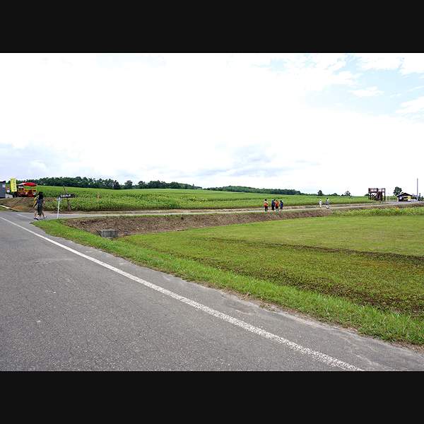 北竜町ひまわりの里 道