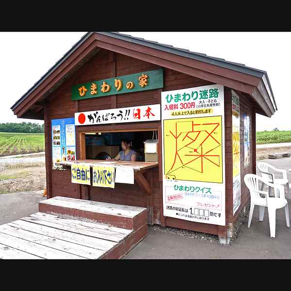 北竜町ひまわりの里 ひまわりの家