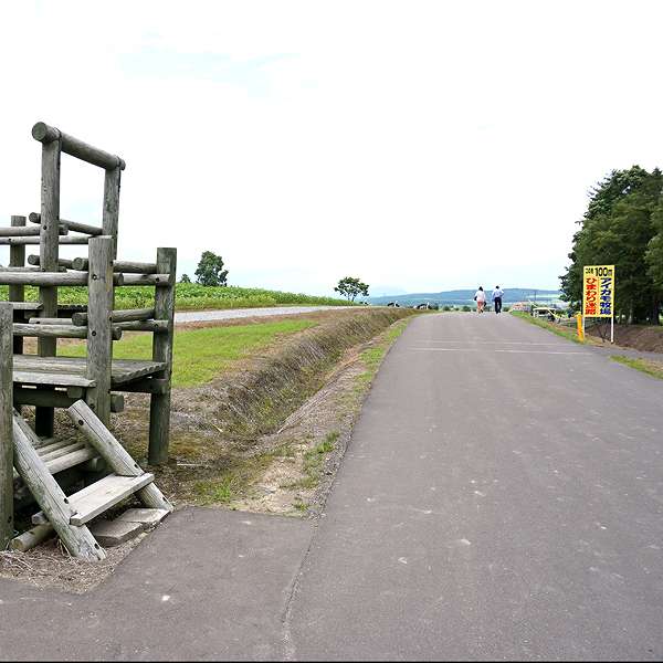 北竜町ひまわりの里 メイン通り