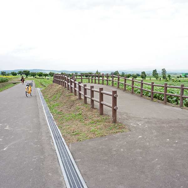 北竜町ひまわりの里 展望台