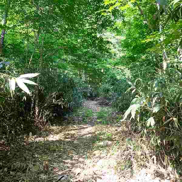 インクラの滝 遊歩道