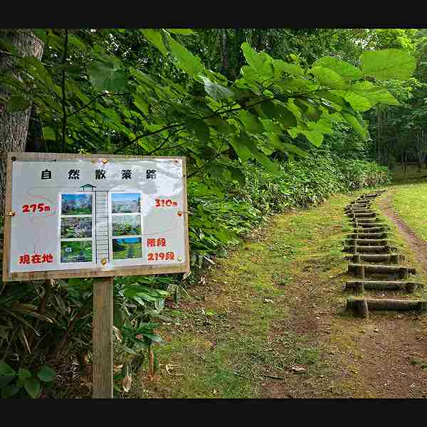 看板 自然散策路