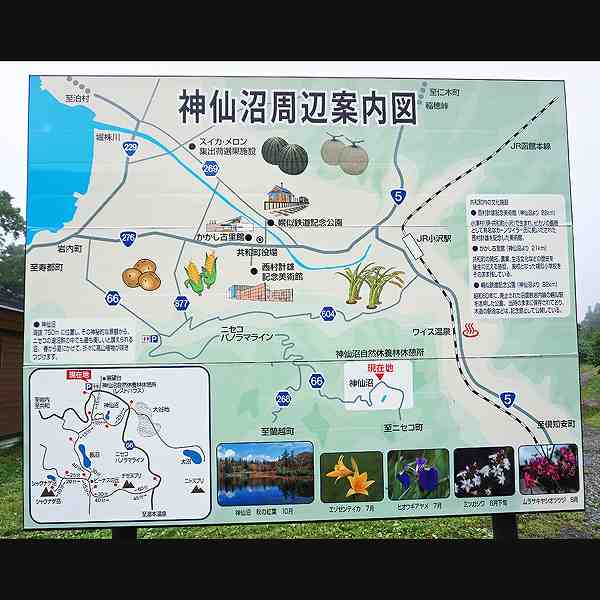 看板 神仙沼周辺案内図