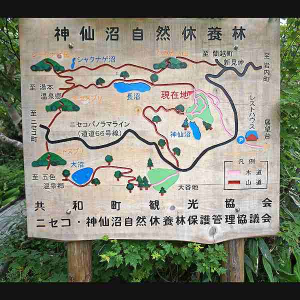看板 神仙沼自然休養林案内図