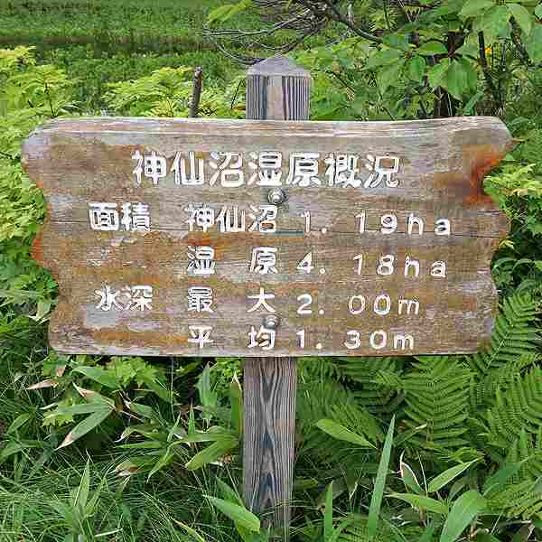 看板 神仙沼湿原概況