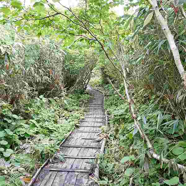 ニセコ湖沼 遊歩道
