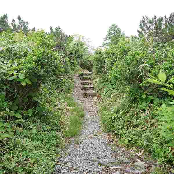 ニセコ湖沼 遊歩道