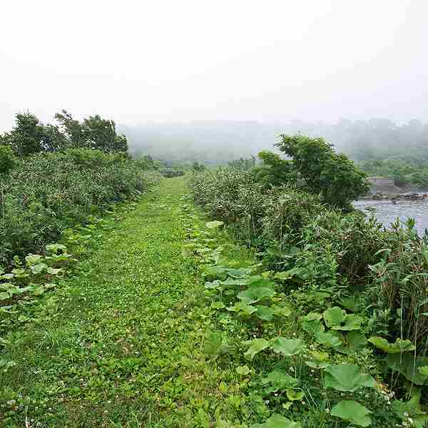 ニセコ湖沼 遊歩道
