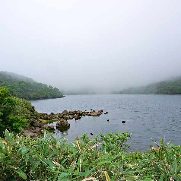 ニセコ湖沼 長沼