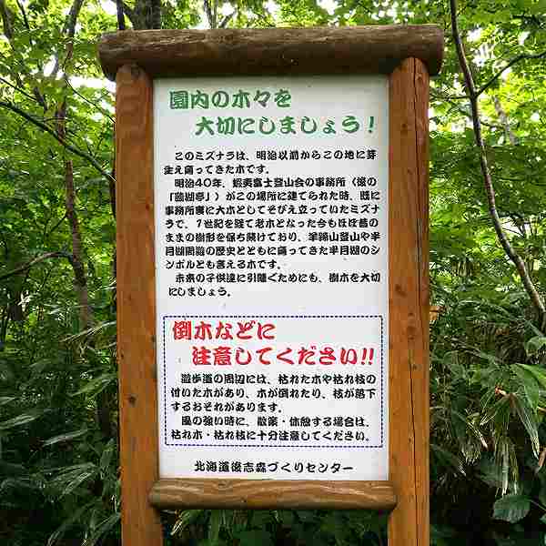 看板 園内の木々について