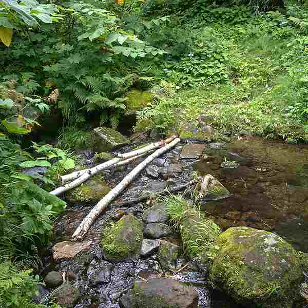 ニセコ湖沼 小川
