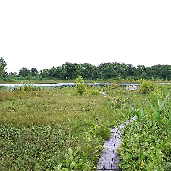 ニセコ湖沼 鏡沼