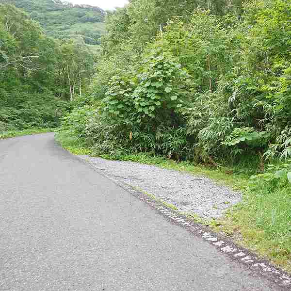 鏡沼 駐車場