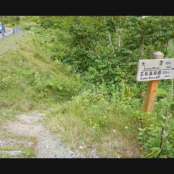 ニセコ湖沼 遊歩道