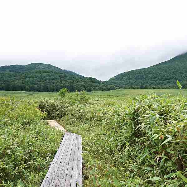 ニセコ湖沼 大谷地湿原