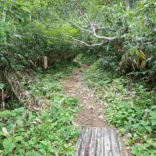ニセコ湖沼 遊歩道