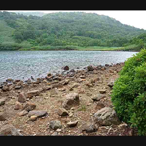 ニセコ湖沼 大沼