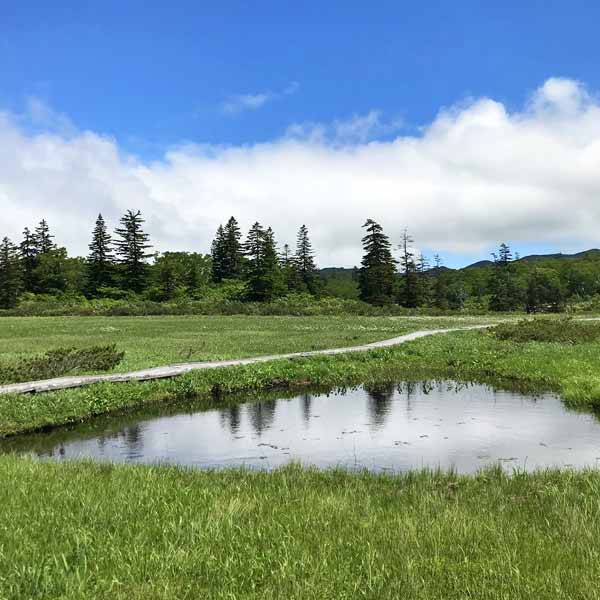 ニセコ湖沼 散策路