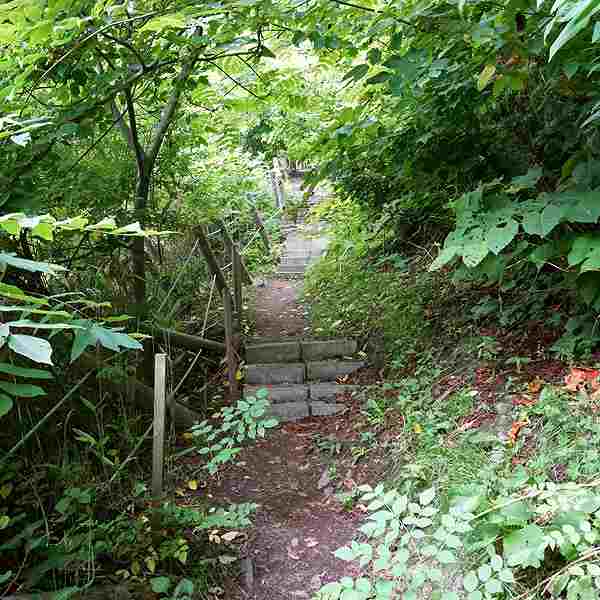黄金岬 ルート
